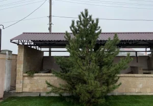 15_2020 image-04-12-24-09-55-10.jpeg