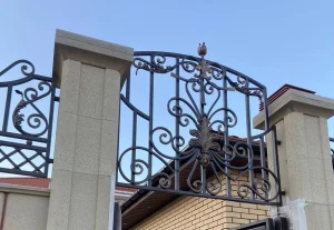 28_2024 photo_41_2024-11-08_17-31.jpg