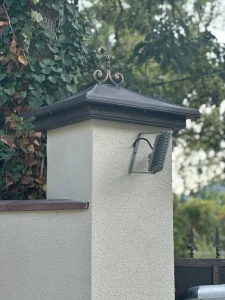 5_2024 photo_5_2024-09-01_18-27-09.jpg